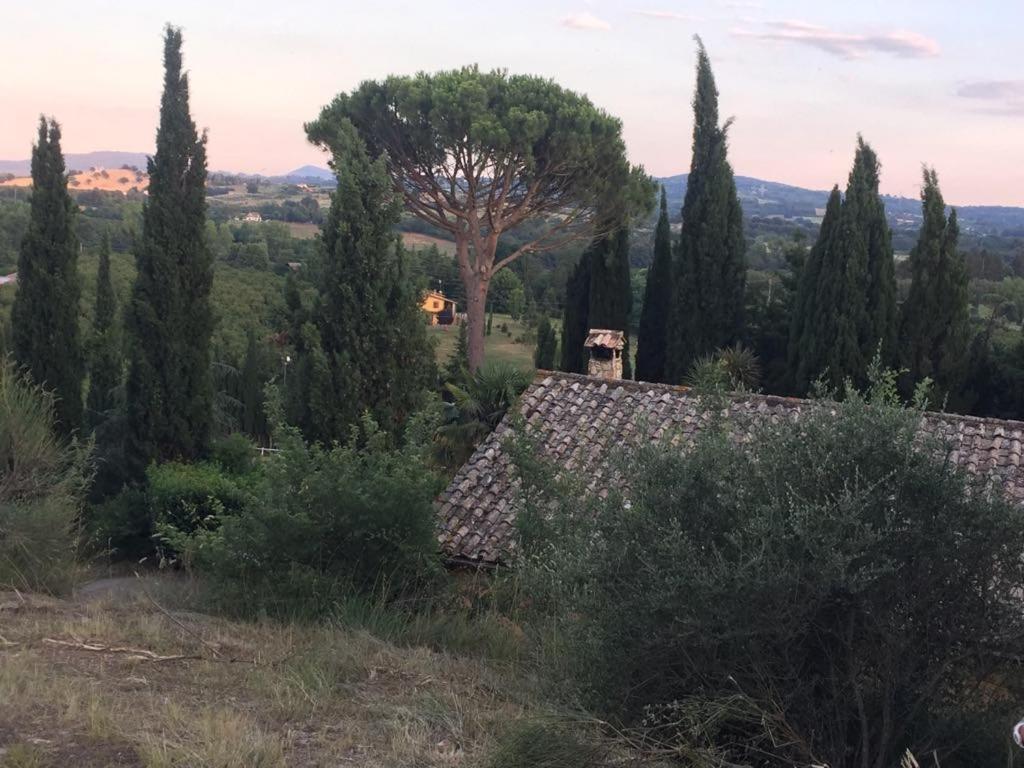 Bed and Breakfast Casale Sant'Elia Capranica Exteriér fotografie