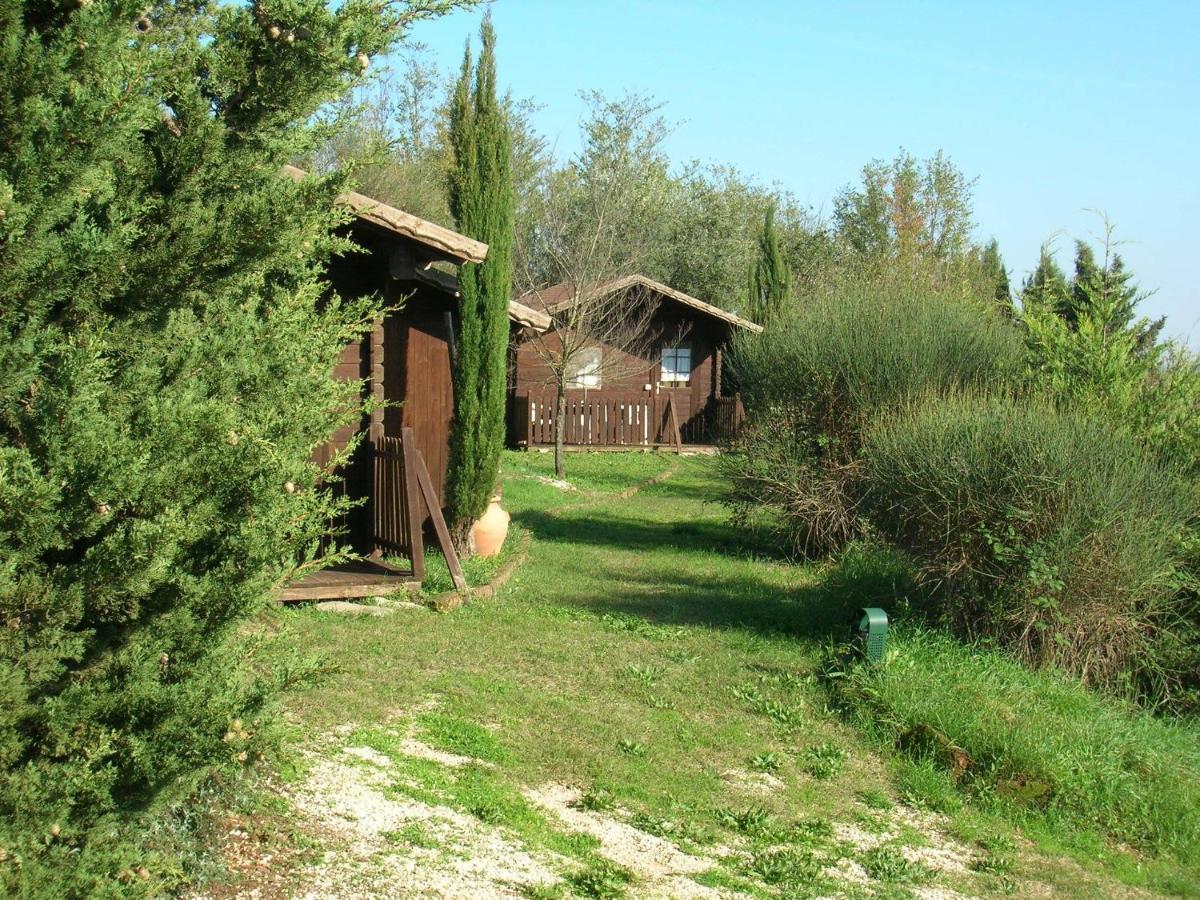 Bed and Breakfast Casale Sant'Elia Capranica Exteriér fotografie